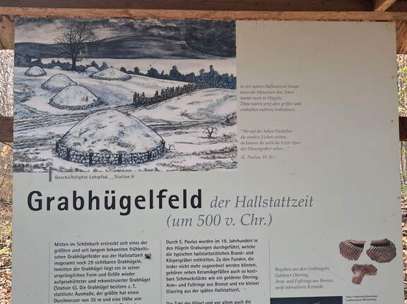 22-04-15 13-19-33 0490